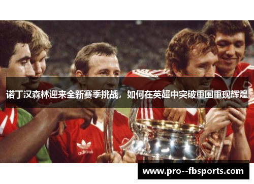 诺丁汉森林迎来全新赛季挑战，如何在英超中突破重围重现辉煌