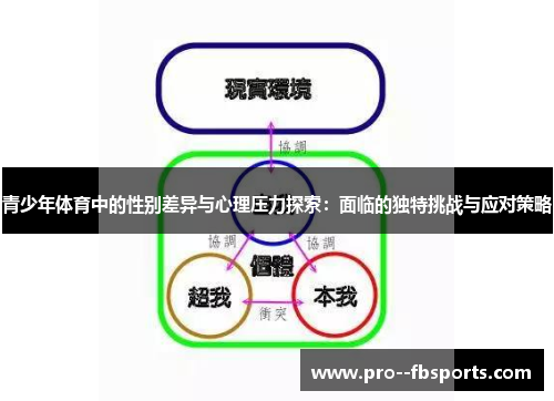 青少年体育中的性别差异与心理压力探索：面临的独特挑战与应对策略