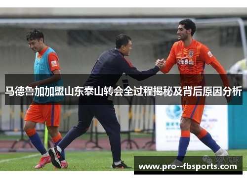 马德鲁加加盟山东泰山转会全过程揭秘及背后原因分析