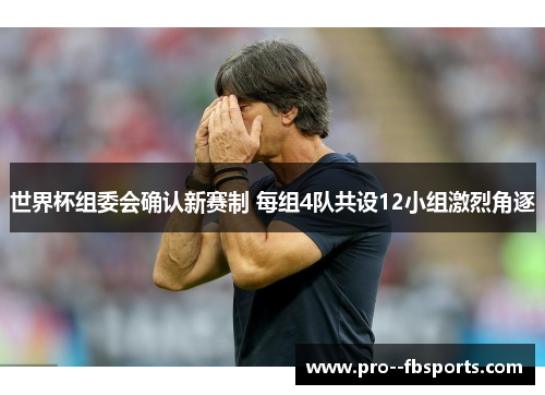 世界杯组委会确认新赛制 每组4队共设12小组激烈角逐